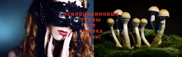гидропоника Баксан