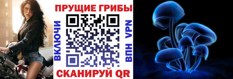 хочу Бокситогорск Псилоцибиновые грибы Psilocybine cubensis