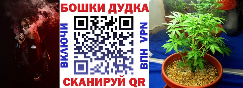 МАРИХУАНА сатива  Бокситогорск 